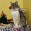 Отзыв от Алиса Троицкая